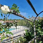 Salvia - House With Pool - Jurdani