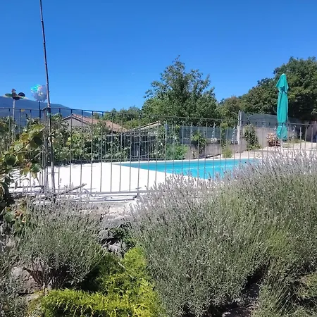 Salvia - House With Pool - * Jurdani