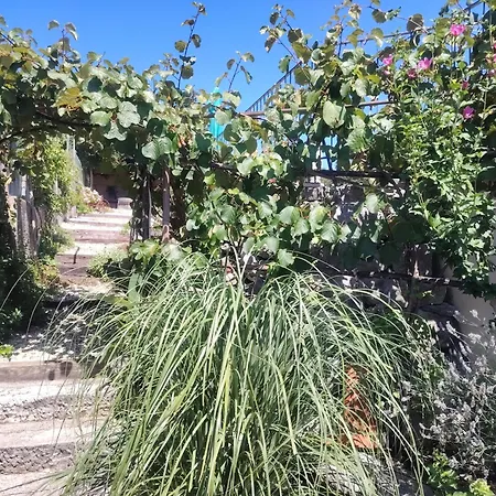 Salvia - House With Pool - *