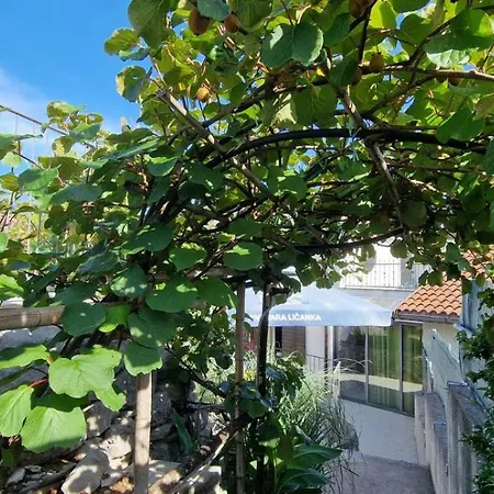 Salvia - House With Pool - בית נופש Jurdani