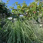 Σπίτι διακοπών Salvia - House With Pool -