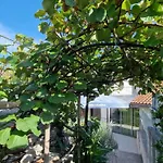 Salvia - House With Pool - Σπίτι διακοπών Jurdani