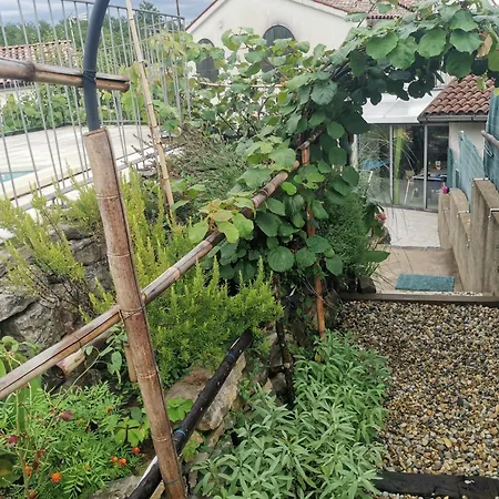 Salvia - House With Pool - 度假居