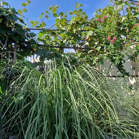 펜션 Salvia - House With Pool -