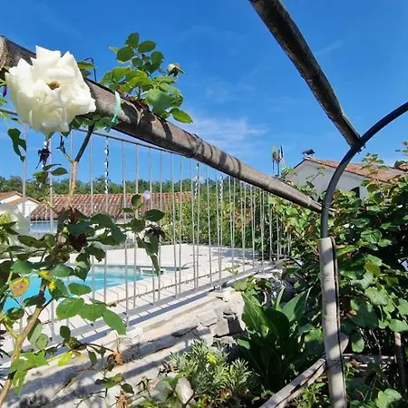 Salvia - House With Pool - Jurdani