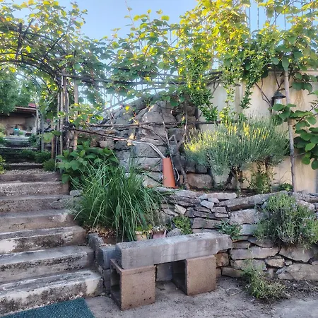 بيت للعطل Salvia - House With Pool - Jurdani