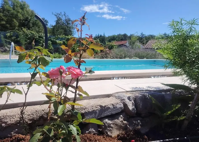 Salvia - House With Pool - 度假居 *