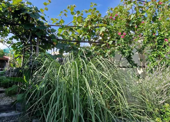 度假居 Salvia - House With Pool -